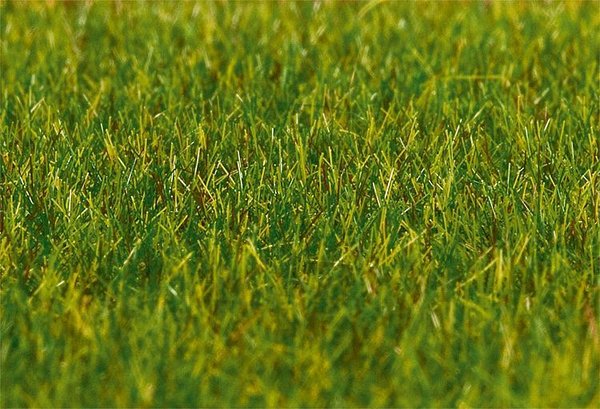 Faller PREMIUM Streufasern, Gras, lang, dunkelgrün, 30 g 180485